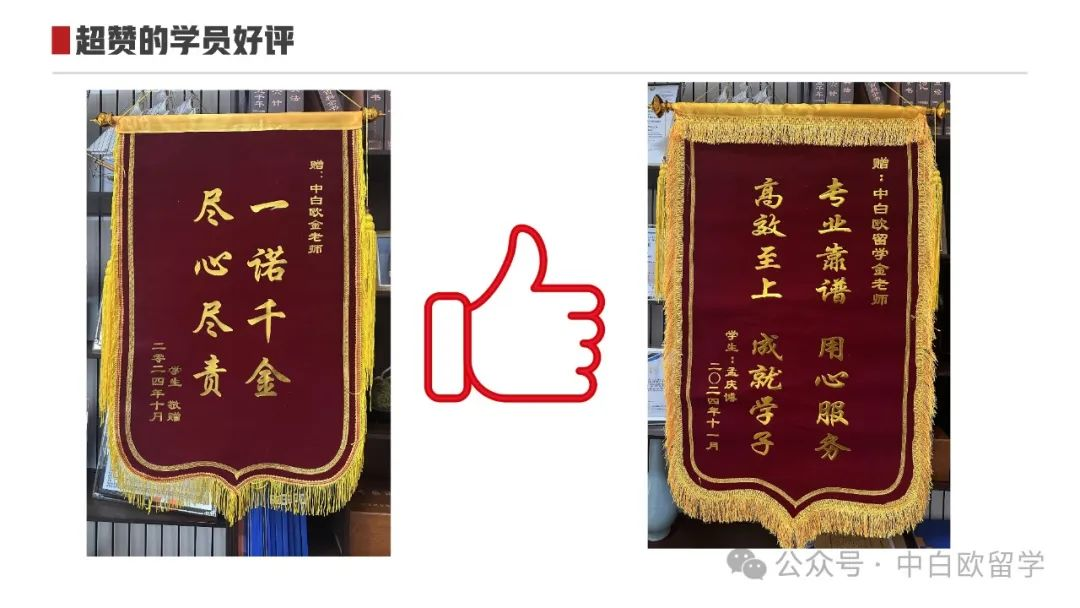 金老师简介学业规划师-图片3