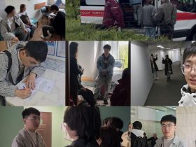 中白欧白俄区主管石老师简介